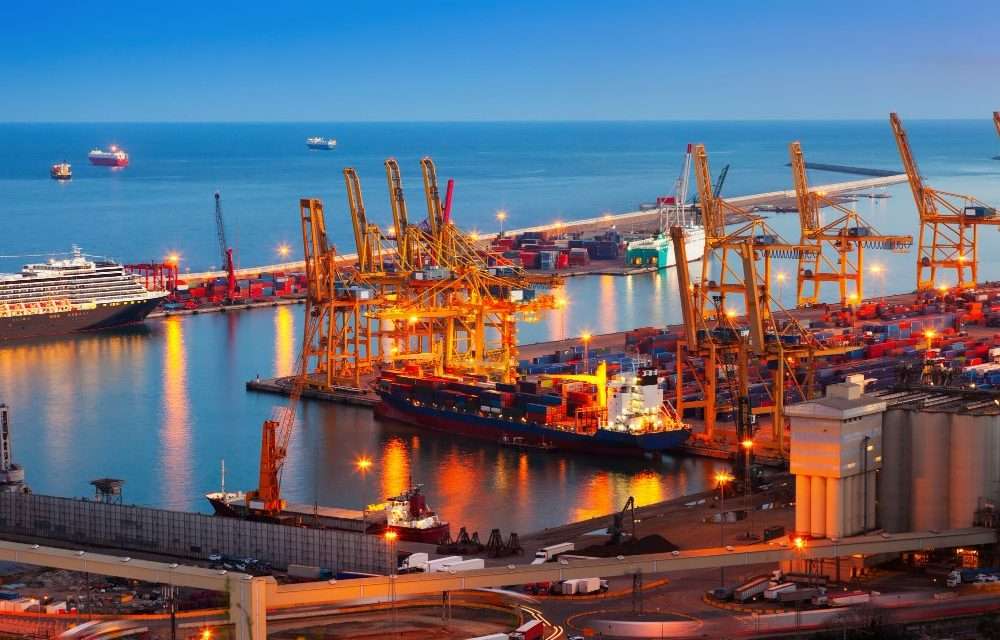 WHAT IS THE IMPORTANCE OF IMPORT EXPORT LICENSE REGISTRATION?