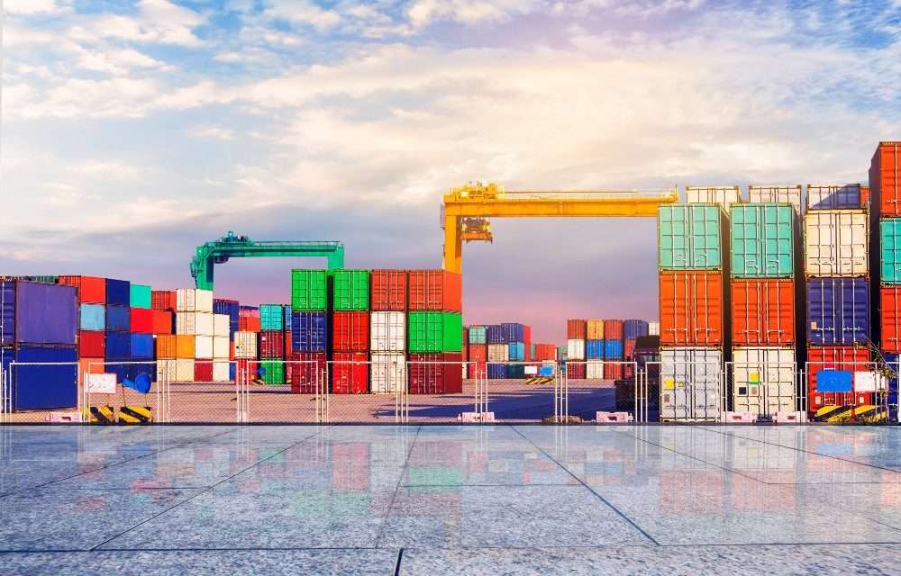 IMPORT AND EXPORT BUSINESS ACTIVITIES