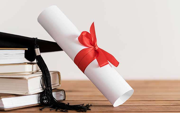 feature1-1 https://kuwaithelplinegroup.com/wp-content/uploads/2024/07/feature1-1.jpg